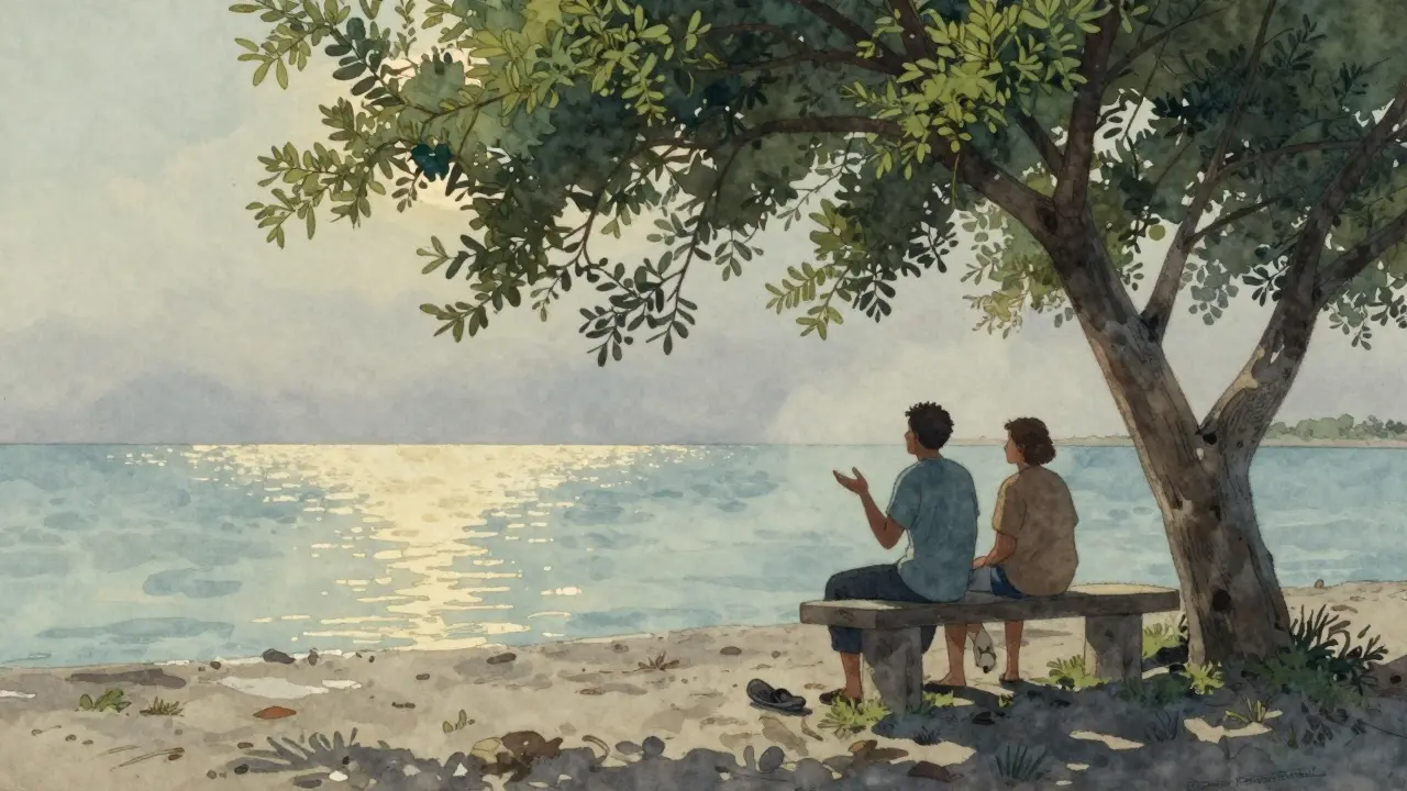 Two people sitting quietly on a bench at dawn beside mangroves, reflecting in calm water.